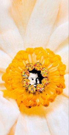 the center of a white flower with yellow petals