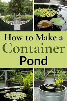 how to make a container pond in your backyard or garden with lots of water lilies