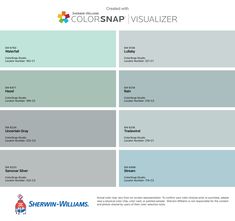 the color scheme for colorsnap visualizer is shown in blue, green and gray