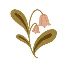 Transparent Flowers, Flower Icons, Pink Books, Brown Flowers, Custom Icons, Good Notes, Aesthetic Iphone Wallpaper