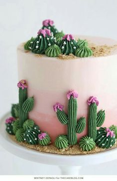 a cake decorated with pink and green frosting, cacti and succulents