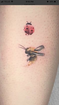 a ladybug and a bee tattoo on the leg