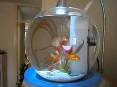 a fish bowl filled with water and flowers