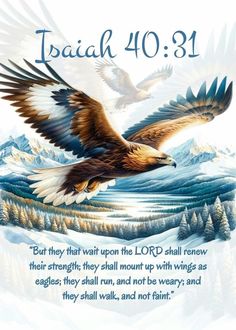 an eagle flying over a snowy mountain with the words,'today 40 31 but they wait