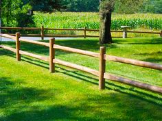 a wooden fence in the middle of a field with corn growing next to it and a tree