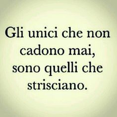 an image of a quote that reads, gi unci che non cadono mai, son