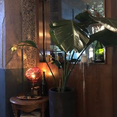 a potted plant sitting on top of a wooden table next to a mirror in a room