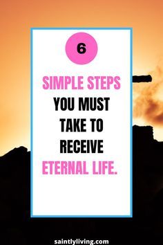 a cross with the words 6 simple steps you must take to receive an external life