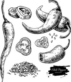 an image of chili peppers and other ingredients on a white background stock illustration 519872