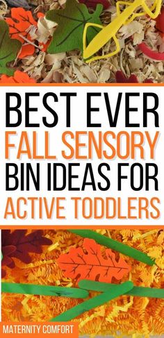 the best ever fall sensory bin ideas for active toddlers to make with leaves