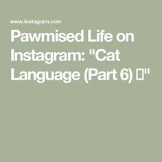 the text reads, pawned life on instagram cat language part 6 / 11