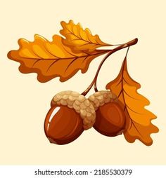 two acorns and an oak leaf on a white background with the word autumn written below it