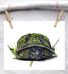 a drawing of a tortoise on a white paper with clothes pins attached to it