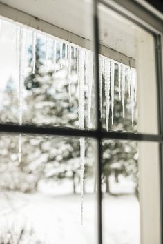 icicles are hanging from the window pane