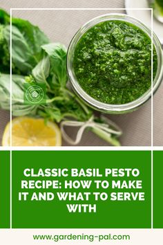 basil pest recipe how to make it and what to serve with