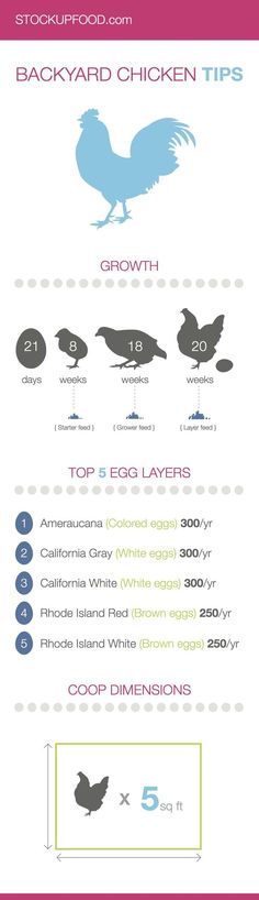 an info sheet showing different types of birds