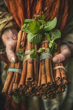 a person holding several bundles of cinnamons with green leaves on them and wrapped in twine