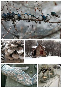 several pictures of birds on a branch, pine cones and other things in the snow