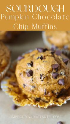 chocolate chip muffins with text overlay that reads sourdough pumpkin chocolate chip muffins