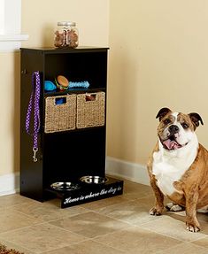 a brown and white dog sitting on the floor next to a black cabinet with baskets