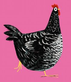 a black and white chicken on a pink background