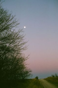 the sun is setting over a dirt road with trees in the foreground and a pink sky