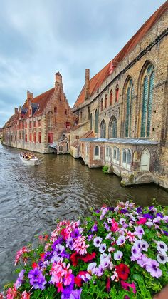 colorful flowers line the edge of a canal in bruge, belgium's historic city