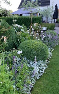 a garden filled with lots of different types of flowers and plants next to a house