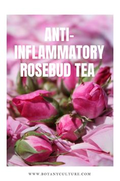 pink roses with the words anti - inflammattory rosebud tea