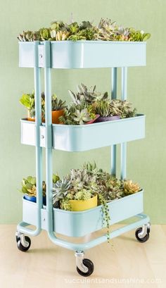 three tiered plant stand with succulents and potted plants on it