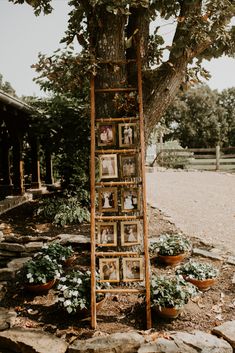 an old ladder is used as a planter for photos