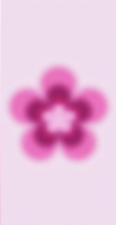 a pink flower on a light pink background