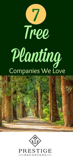 the 7 tree planting companies we love