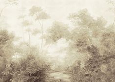 Woodlands Mural Wall Mural Wallpaper York Mural Sepia Woodland Mural, Mid Century Coastal, Vintage Motifs, Woodland Wallpaper, Product Knowledge, Woodland Wall, Mural Wall, York Wallcoverings, Wallpaper Rolls