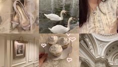 a collage of photos with swans, cupcakes and shoes on display in different rooms