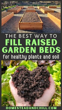 the best way to fill raised garden beds for healthy plants and soil