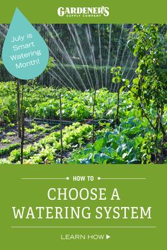 a garden with the title how to choose a watering system