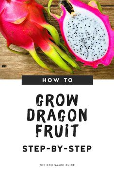 how to grow dragon fruit step by step