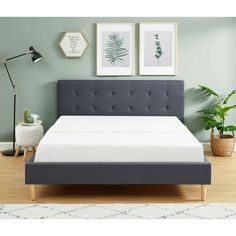 a bed that is in a room with two pictures on the wall and a plant next to it