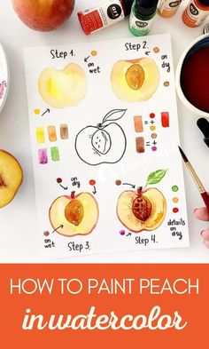 how to paint peaches in watercolor with step by step instructions for beginners