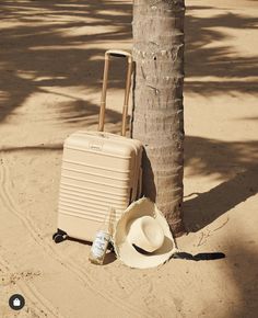 a suitcase and hat sitting in the sand next to a palm tree