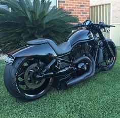 a black motorcycle parked on top of a lush green grass covered field next to a palm tree