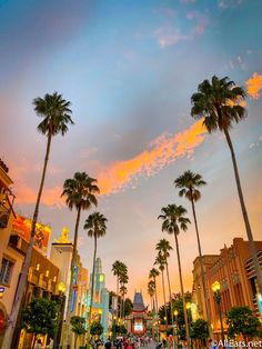 palm trees line the street at sunset in las vegas, nv with buildings and shops