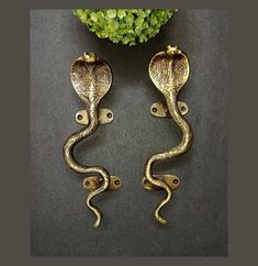 pair of ornate brass door handles on black surface with green plant in vase behind them