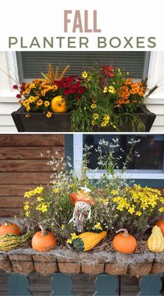 fall planter boxes filled with flowers and pumpkins