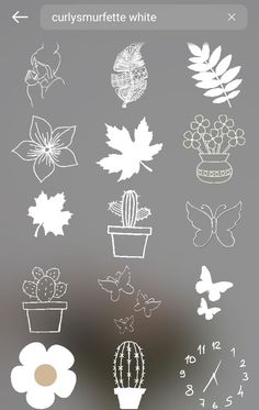 a bunch of different types of flowers and plants on a window sill, with the words curysmurtette white above them