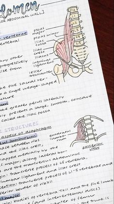 a handwritten diagram of the human body on a piece of paper with writing underneath it