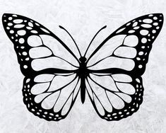 a black and white drawing of a butterfly