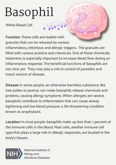 an info sheet describing the benefits of basophil