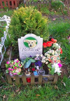 a sign surrounded by flowers and plants in the grass